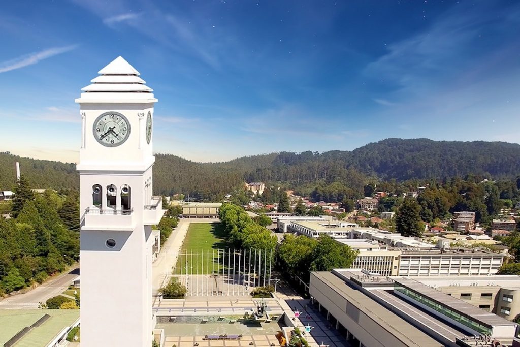 Arco de la Facultad de Medicina, Universidad de Concepción